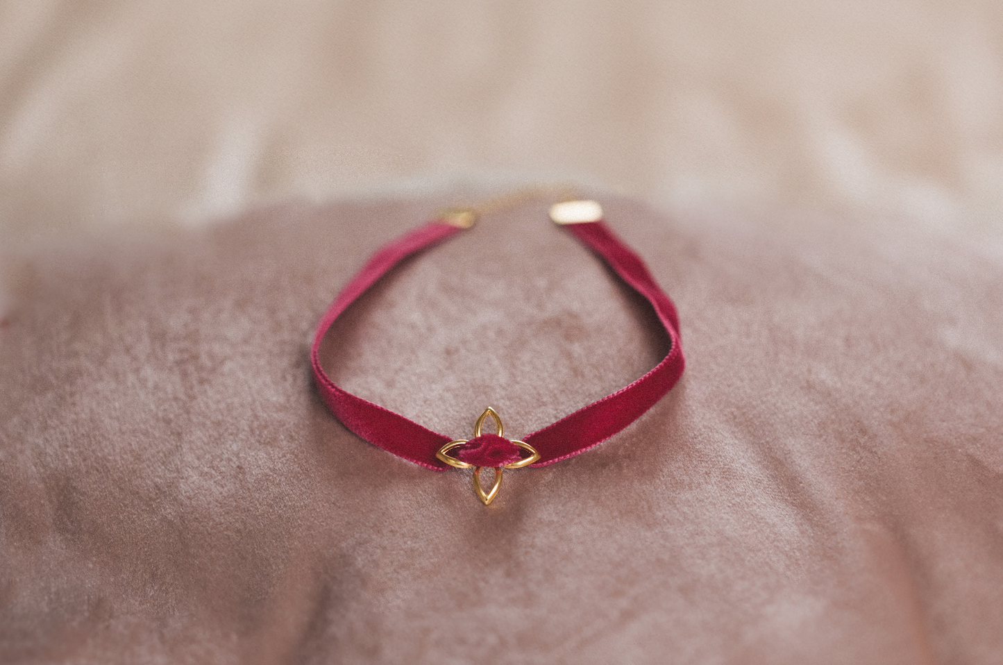 CHOKER FRAMBOISE SAUVAGE